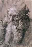 Albrecht Durer, Study of a Man Aged